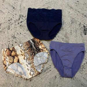 3 Pair Rhonda Shear Variety Style Panties : Purple, Blue, Animal Print - Size S